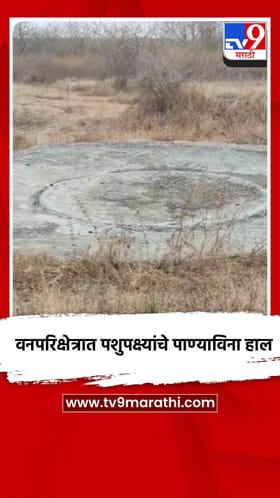 वनपरिक्षेत्रात पशुपक्ष्यांचे पाण्याविना हाल