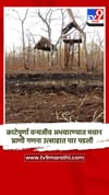 काटेपूर्णा वन्यजीव अभयारण्यात यंदाची मचान प्राणी गणना उत्साहात पार पडली.