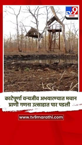 काटेपूर्णा वन्यजीव अभयारण्यात यंदाची मचान प्राणी गणना उत्साहात पार पडली