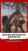 खंडाळा येथील मुलीने पक्ष्यांसाठी तयार केली आकर्षक घरटी.
