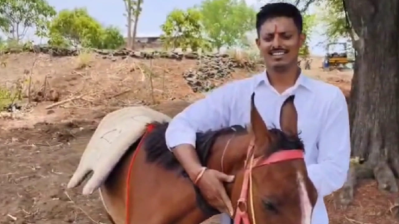 जेव्हा प्रत्यक्षात जावई क्रांतीसिंह राऊत यांनी ते पाहिले, तेव्हा त्यांना सुंदर सिंधी जातीची घोडी पाहून आनंदाचा धक्का बसला. याबाबत बोलताना त्यांनी सांगितले की, अशी भेट मिळेल याची कल्पनाही नव्हती. घोडी अतिशय सुंदर असून शेतीसाठी आणि वैयक्तिक आवडीसाठीही ती उपयुक्त ठरणार आहे असं ते म्हणाले.