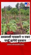 लांजा तालुक्यातील झापडे गावाला वादळाचा फटका.