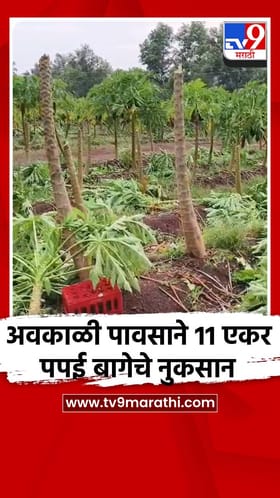 लांजा तालुक्यातील झापडे गावाला वादळाचा फटका