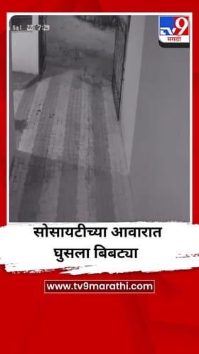 वडगाव मावळातील माळी नगर परिसरात बिबट्याचा वावर, नागरिकांमध्ये दहशत