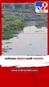 मालेगावात मोक्षगंगा बनली 'गटारगंगा'.