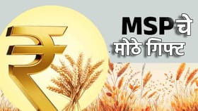शेतकर्‍यांना मोदी सरकारचे गिफ्ट; 14 खरीप पिकांच्या हमीभावात मोठी वाढ.
