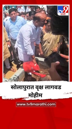 सोलापुरात वृक्ष लागवड मोहीम