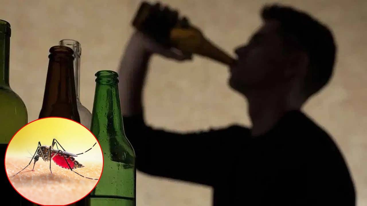 बिअर पिणाऱ्या व्यक्तींना डास जास्त का चावतात? संशोधनात कारण आले समोर