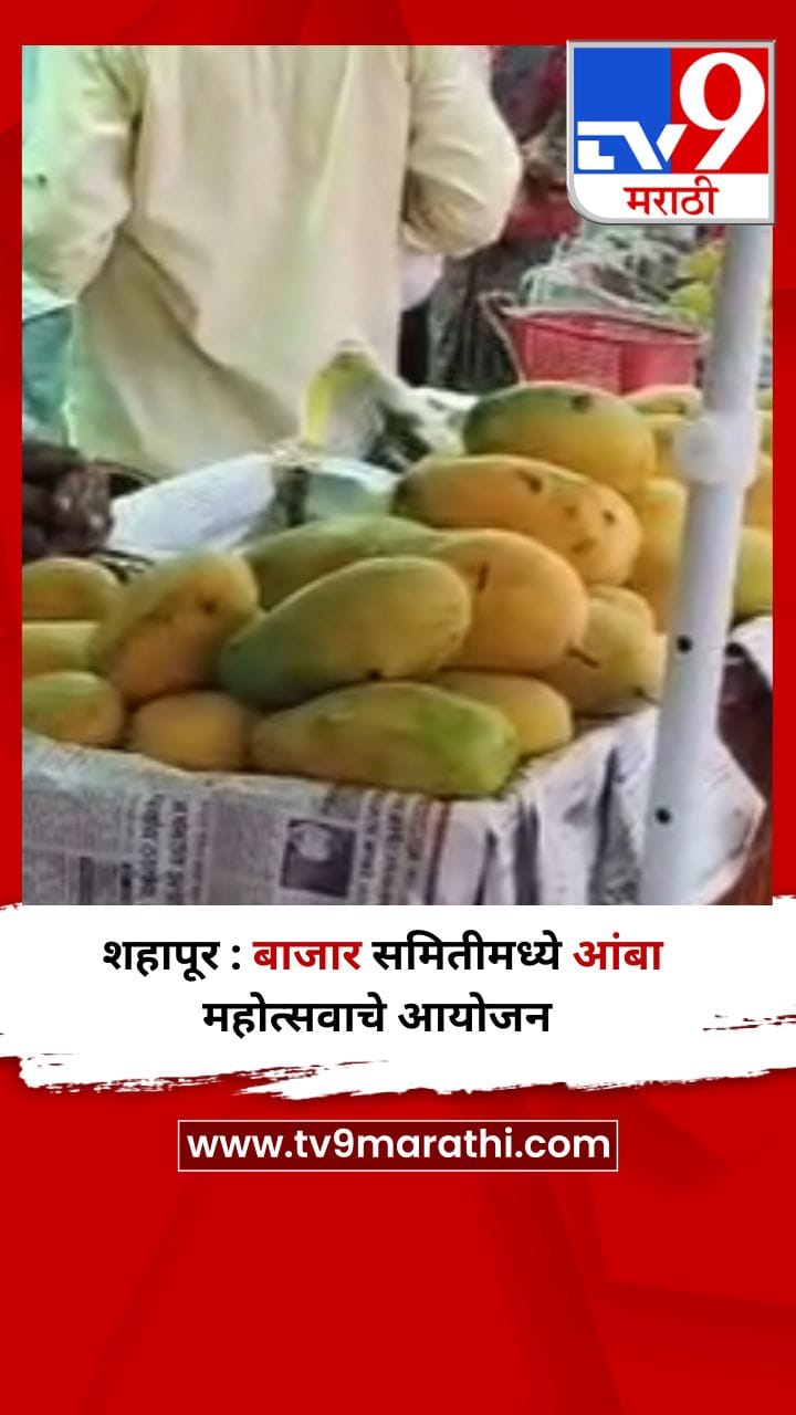 शहापूर : बाजार समितीमध्ये आंबा महोत्सवाचे आयोजन