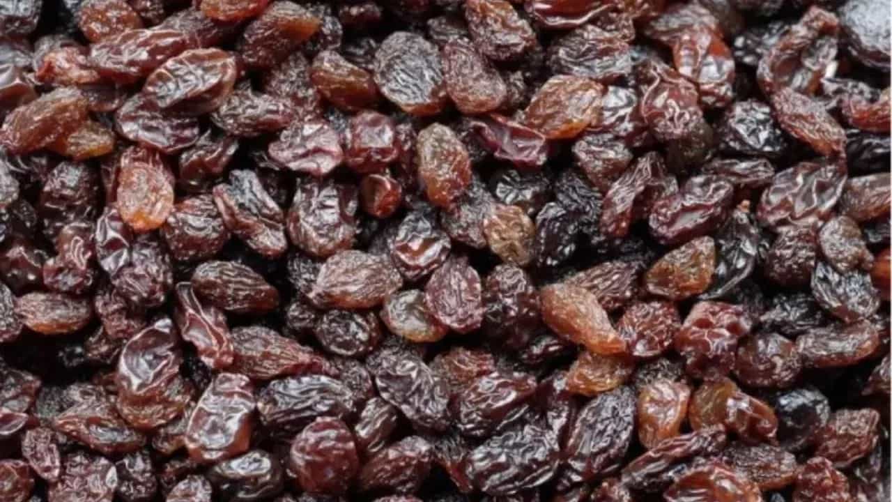 जर तुम्हाला गोड खायला आवडत असेल पण त्याचबरोबर तुम्ही तुमच्या आरोग्याबद्दलही जागरूक असाल, तर काळे मणुके तुमच्यासाठी एक उत्तम सुपरफूड आहेत. ते तुमचे रक्त शुद्ध करतात. केस गळणे थांबवतात. चेहऱ्यावर नैसर्गिक चमक आणतात. शिवाय, ते पचनसंस्था मजबूत करतात.