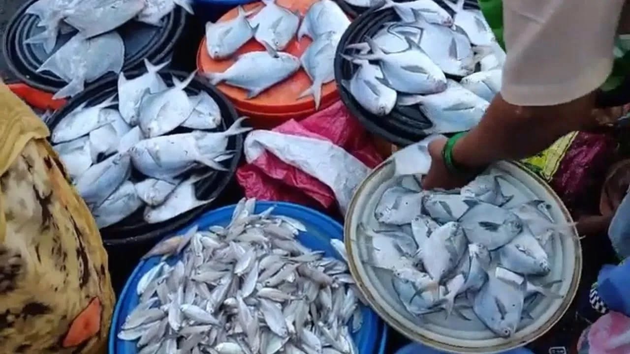 ससून डॉक देखील सर्वात मोठा मुंबईतील फिश मार्केट आहे. सर्वात जुन्या बंदरांपैकी एक असलेला ससून डॉक सर्वात जुना आणि सर्वात मोठा फिश मार्केट आहे... ससून डॉकमध्ये अनेक प्रकारचे मासे उपलब्ध असतात. याठिकाणी मासे परवडणाऱ्या दरात मिळतात..