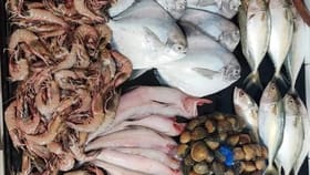 मुंबईत कुठे आहेत सर्वात मोठे 'फिश मार्केट', मिळतात स्वस्त मासे.