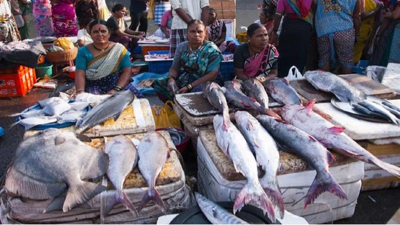 सायन फिश मार्केट अनेकांना माहिती आहे. सायन मार्केट मुंबईतील एक मासळी मार्केट ज्यामध्ये खेकडे देखील खरेदीसाठी उपलब्ध आहेत. तुम्ही येथे कमी प्रमाणात मासे देखील खरेदी करू शकता.