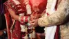 मत दिलं, आता लग्न लावून देणार! भाजप आमदार शोधणार तरुणांसाठी बायको.
