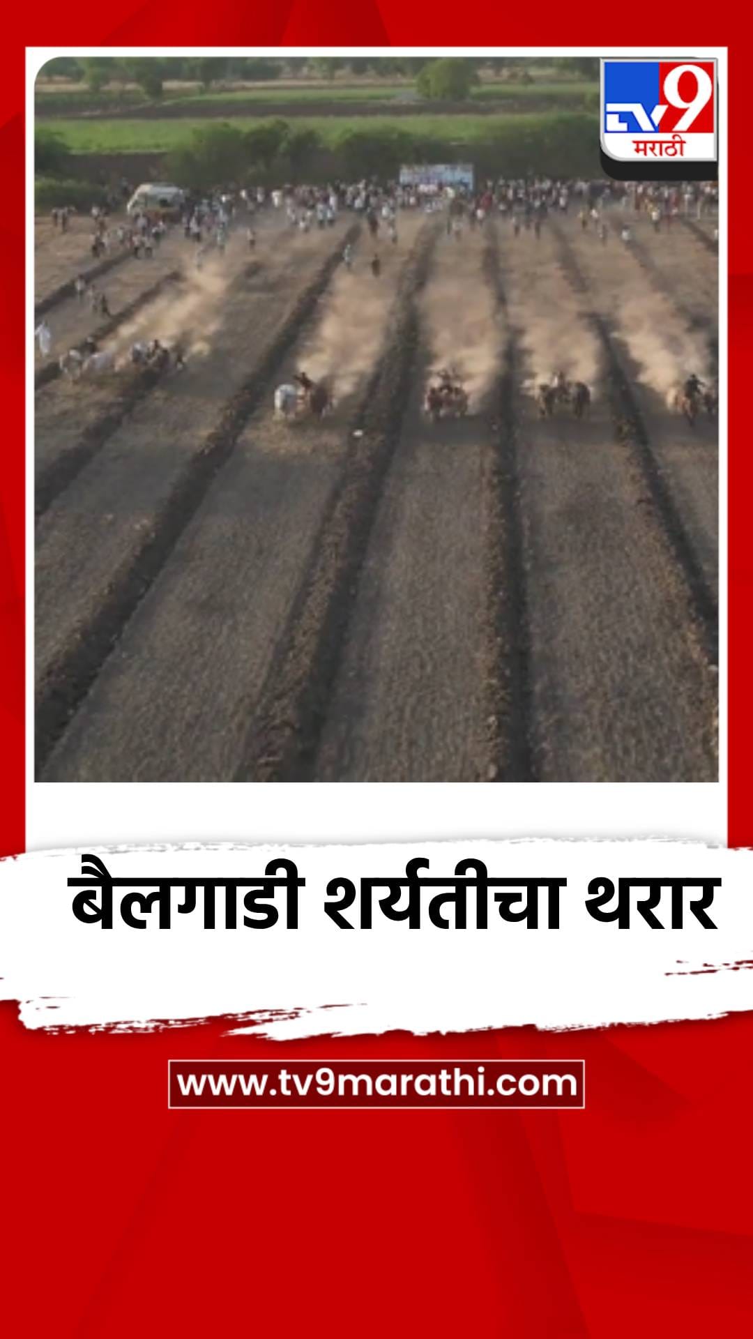 मेहुनबारेत बैलगाडी शर्यतीचा थरार, पाहणाऱ्यांचा फुटला पोळा