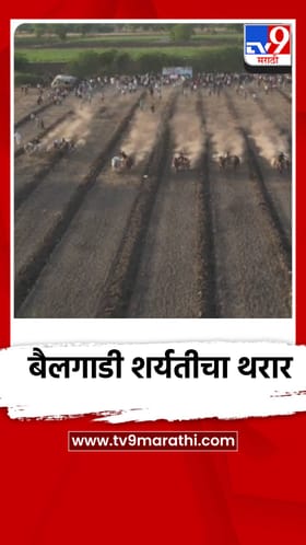 मेहुनबारेत बैलगाडी शर्यतीचा थरार, पाहणाऱ्यांचा फुटला पोळा