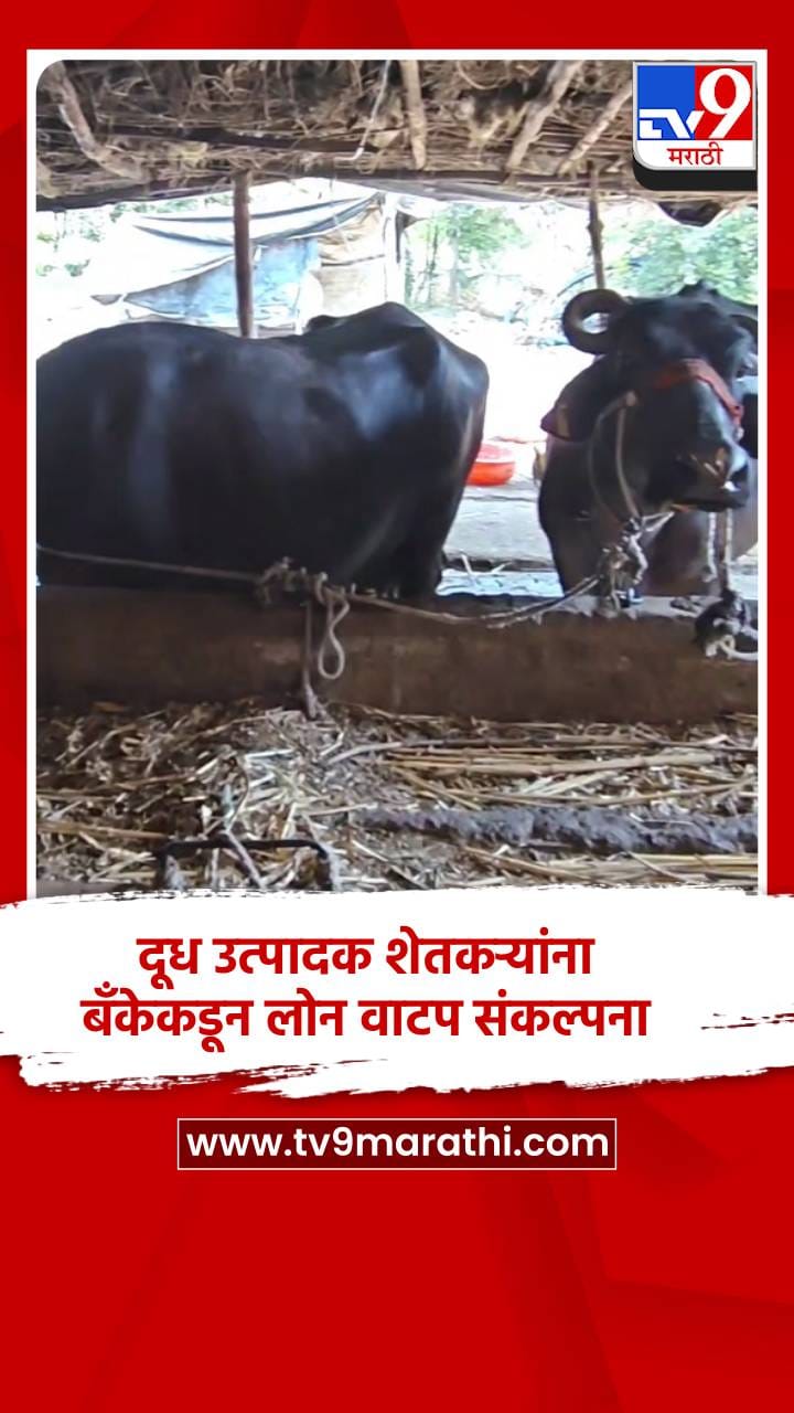 दूध उत्पादक शेतकऱ्यांना बँकेकडून लोन वाटप संकल्पना