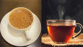 दुधाचा चहा की ब्लॅक टी? निरोगी आरोग्यासाठी नक्की कोणता सर्वोत्तम?.