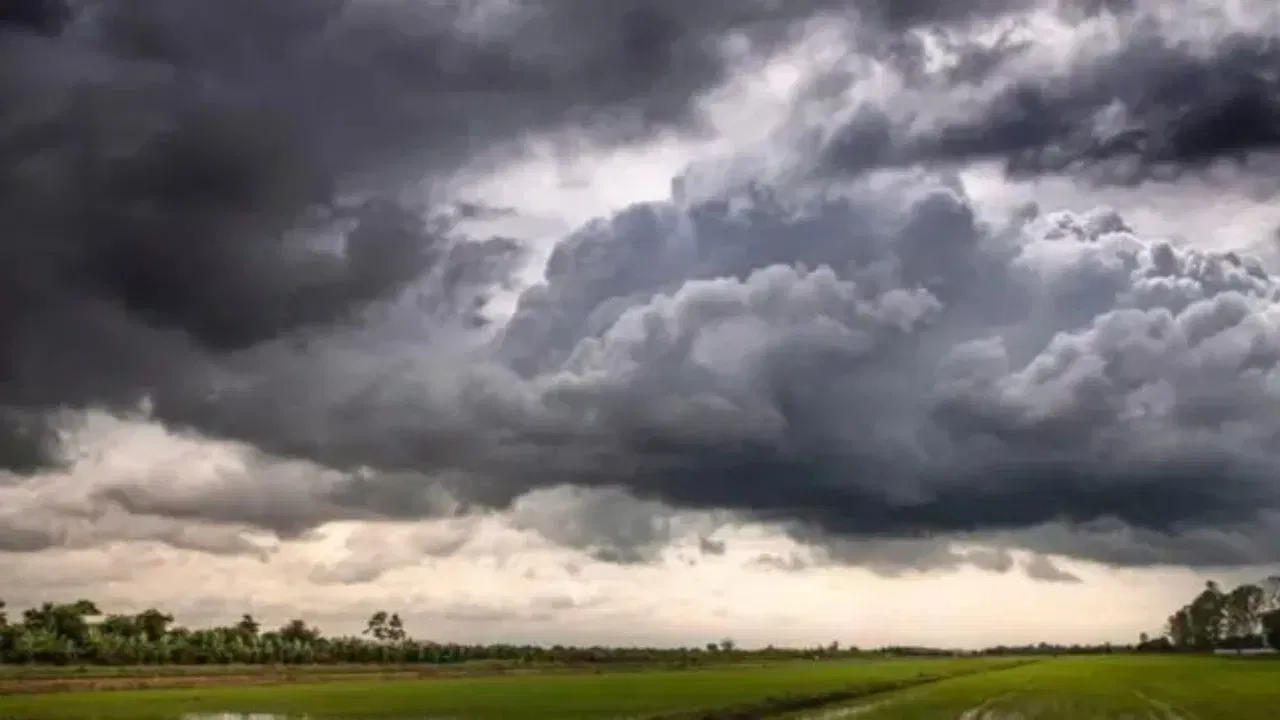 Monsoon : मान्सूनबाबत IMD कडून सर्वात मोठी अपडेट, या राज्यांना वादळी पावसाचा अलर्ट जारी