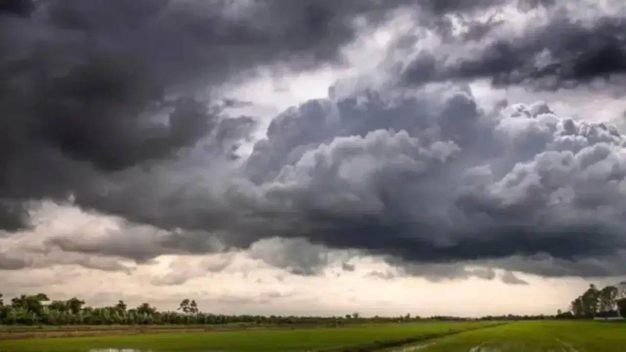 Monsoon : मान्सूनबाबत IMD कडून सर्वात मोठी अपडेट, या राज्यांना वादळी पावसाचा अलर्ट जारी