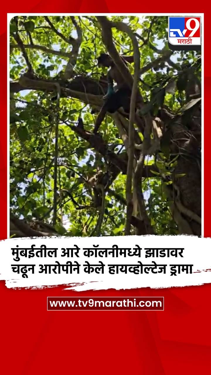 मुंबईतील आरे कॉलनीमध्ये झाडावर चढून आरोपीने केले हायव्होल्टेज ड्रामा