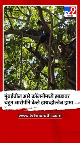 मुंबईतील आरे कॉलनीमध्ये झाडावर चढून आरोपीने केले हायव्होल्टेज ड्रामा