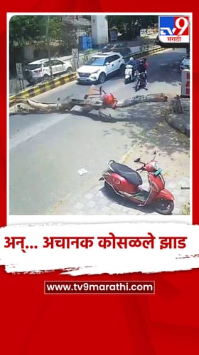 नागपूरमध्ये भररस्त्यात वाहतूक सुरू असातना कोसळले अचानक झाड...