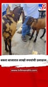 बकरा बाजारात लाखो रुपयांची उलाढाल...