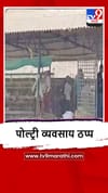 Nandurbar : नवापूरात बर्ड फ्लूचा कहर, 11 लाख अंडी आणि 30 टन खाद्यपदार्थ नष्ट.