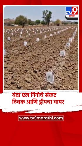 नंदुरबार जिल्ह्यात यंदा एल निनोचे संकट, शेतकऱ्यांकडून ठिबक आणि ड्रीपचा वापर