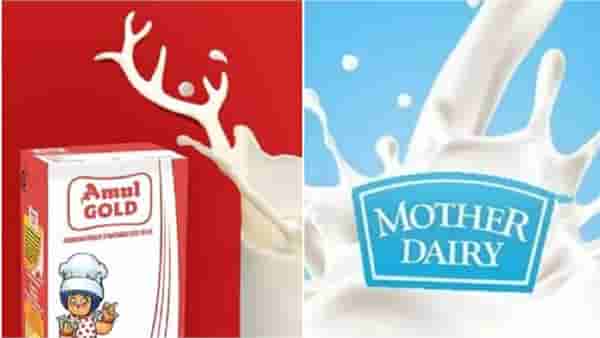 मोठी बातमी! आता सकाळचा चहा पोळणार… दुधाला महागाईची उकळी, अमूलनंतर मदर डेरीचाही मोठा झटका, आजपासूनच नवे दर देशभरात लागू