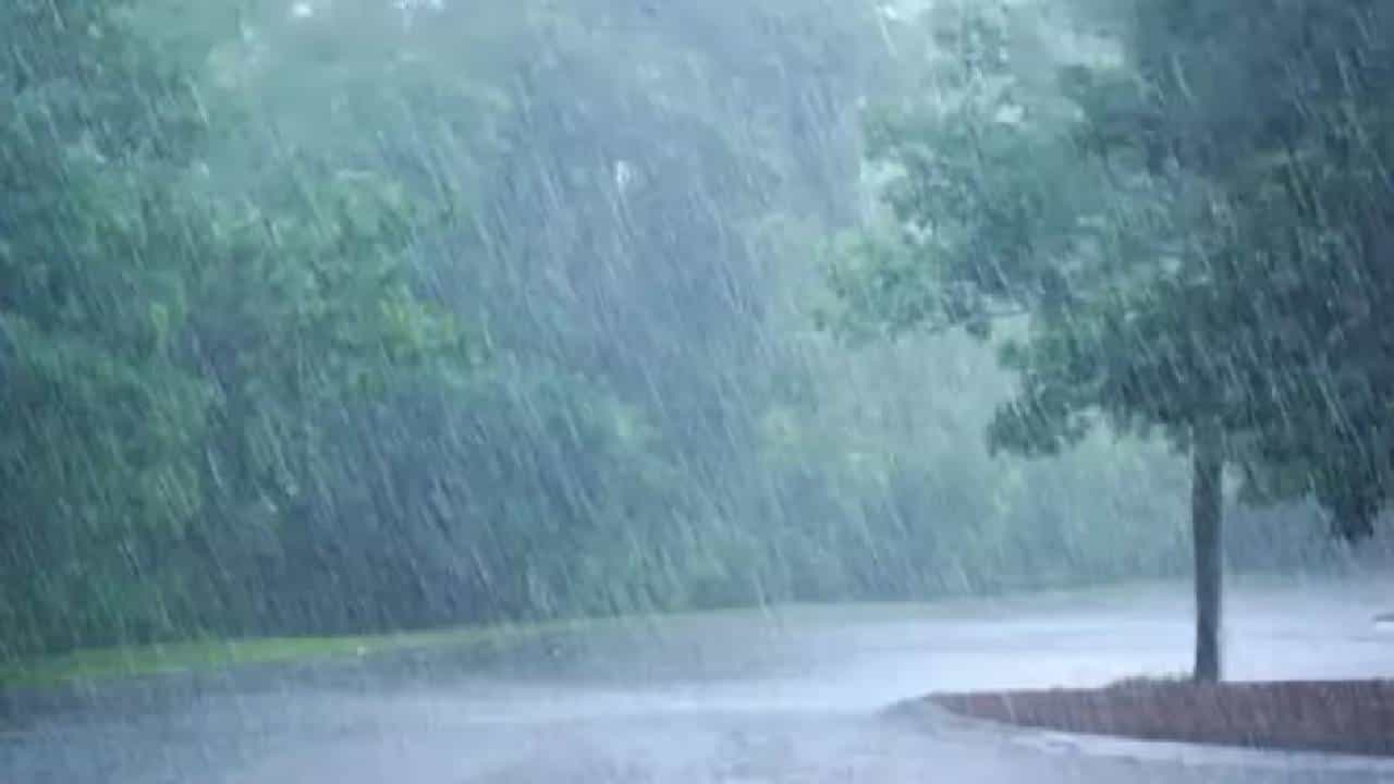 Rain News | कोकण किनारपट्टीवर वादळी पावसाचा इशारा, शेतकरी चिंतेत Rain News | कोकण किनारपट्टीवर वादळी पावसाचा इशारा, शेतकरी चिंतेत