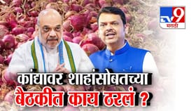 कांद्यावर दिल्ली दरबारात मोठा फैसला! अमित शाहांचा 10 लाख टन खरेदीला...