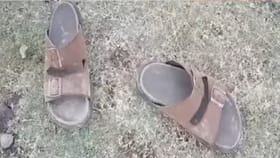गावातील साठवण तलावात पोहण्यास गेलेले एमबीएचे तीन विद्यार्थी बुडाले