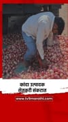 कांदा उत्पादक शेतकरी संकटात.