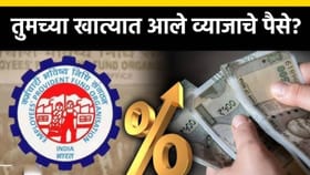 खात्यात जमा झाले पीएफ व्याज? या चार पद्धतीने झटपट तपासा