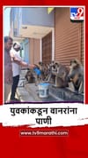 Parbhani : वानर पाण्याच्या शोधात मानवी वस्तीत, तरुणांकडून अशी सोय.