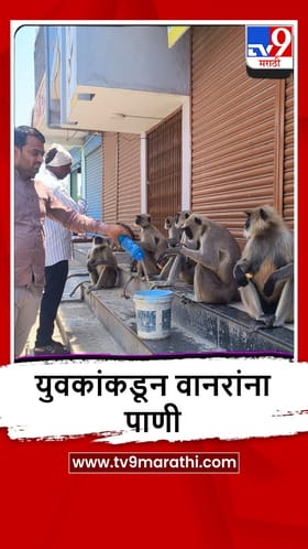 Parbhani : वानर पाण्याच्या शोधात मानवी वस्तीत, तरुणांकडून अशी सोय