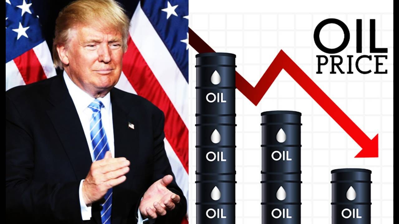 Crude Oil: डोनाल्ड ट्रम्प यांचे संकेत… आता मोठे वक्तव्य… पेट्रोल -डिझेलच्या किंमती आपटणार?