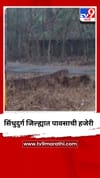 सिंधुदुर्ग जिल्ह्यात पावसाची हजेरी.
