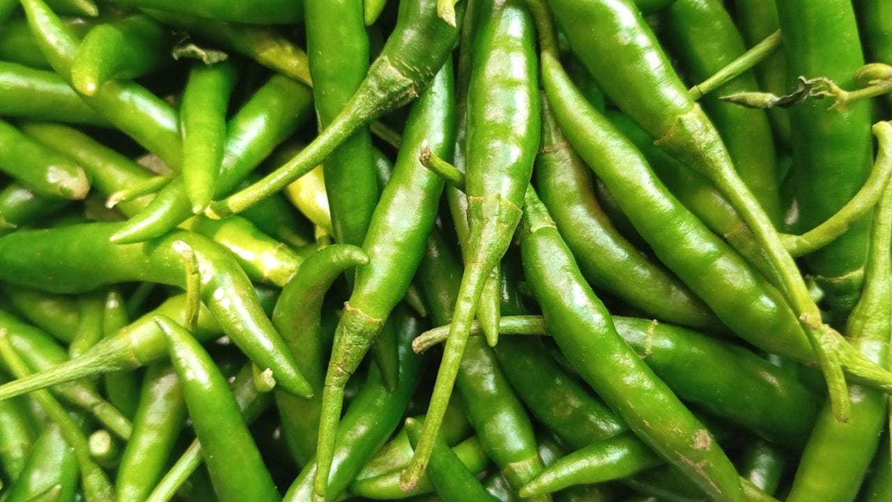 या दोन्हीही मिरच्या शरीरातील अंतर्गत सूज (Inflammation) कमी करण्यास मदत करतात. रक्तातील साखरेची पातळी नियंत्रित ठेवण्यात मदत होते. मेटाबॉलिझ्म सुधारून वजन नियंत्रणात ठेवण्यास मदत करतात. तसेच कॅप्सायसिनमधील सूक्ष्मजीवविरोधी (Anti-microbial) गुणधर्म हानिकारक जीवाणूंपासून शरीराचे रक्षण करतात.