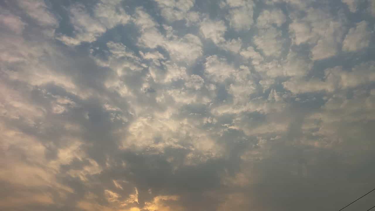 अमरावती, अकोला आणि वर्धा जिल्ह्यात थेट रेड अलर्ट, 12 ते 4 घराबाहेर पडणे टाळाच, प्रशासनाने..