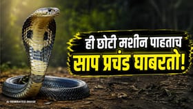 छोटीशी मशीन म्हणजे सापांचा कर्दनकाळ, एकदा घरात लावली की टेन्शन मिटलं!.