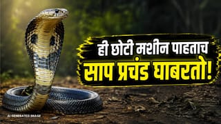 ही छोटीशी मशीन म्हणजे सापांचा कर्दनकाळ, एकदा घरात लावली की टेन्शन मिटलं; कसा वापर करावा?