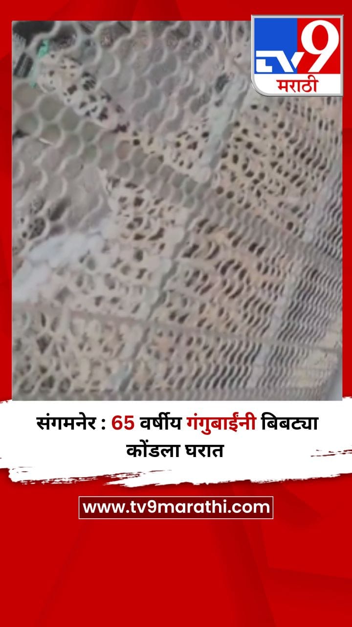 संगमनेर : 65 वर्षीय गंगुबाईंनी बिबट्या कोंडला घरात