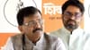 ममता बॅनर्जी यांची हार हा देशाचा पराभव - संजय राऊत.
