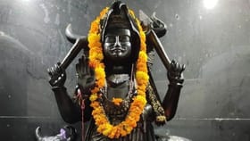 शनी जयंतीला 50 वर्षांनंतर येतोय केदार योग, या 4 राशींचे नशीब फळफळणार.