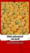 शिर्डीत साईभक्तांसाठी गोड बातमी.