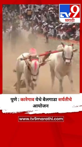 पुणे : कारेगाव येथे बैलगाडा शर्यतीचे आयोजन