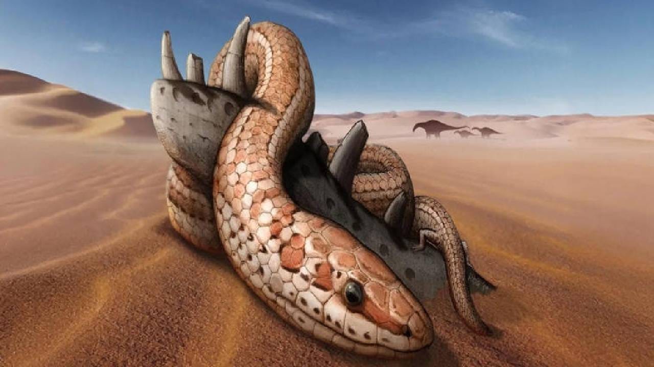 Snake Facts: जर माकडातून मानवाची उत्क्रांती... तर सापाचा पूर्वज कोण? Snake Facts: जर माकडातून मानवाची उत्क्रांती... तर सापाचा पूर्वज कोण?